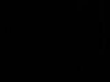 03 : 30