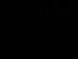 03 : 46