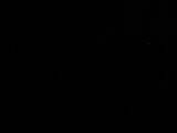 03 : 50