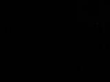 04 : 02