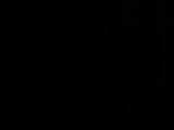 04 : 06