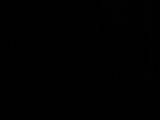 05 : 02