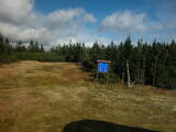 13 : 54