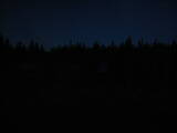 19 : 50