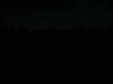 20 : 10