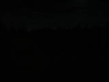 20 : 38