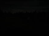 23 : 50