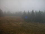 13 : 50