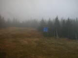 15 : 50