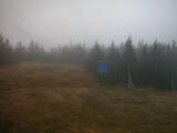 15 : 58