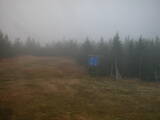 16 : 50