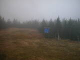 17 : 42