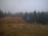 17 : 50