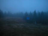 19 : 10