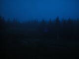 19 : 26