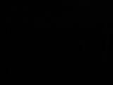 19 : 46