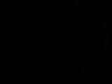 19 : 54