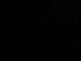 20 : 02