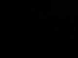 20 : 06