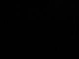 21 : 22