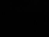 03 : 22