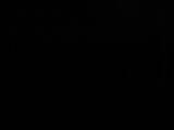 03 : 46