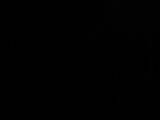 04 : 02