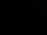04 : 06