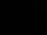 04 : 10