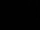 04 : 30