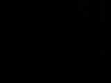 04 : 34