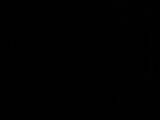 04 : 46