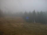 13 : 06