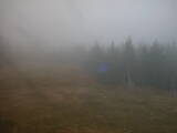 13 : 30