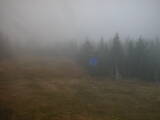 13 : 46
