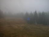 13 : 50