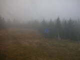14 : 02