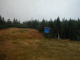 16 : 50