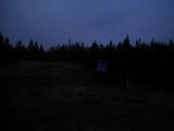 19 : 14