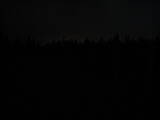 19 : 42