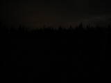 20 : 38