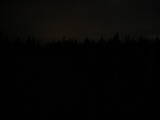 20 : 42