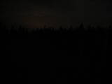 20 : 50