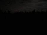 21 : 14