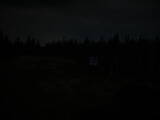 03 : 46
