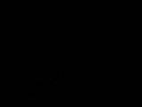 21 : 56