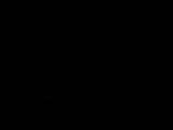 20 : 48