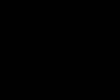 20 : 44