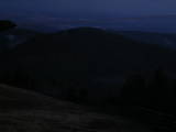 20 : 20