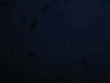 05 : 04
